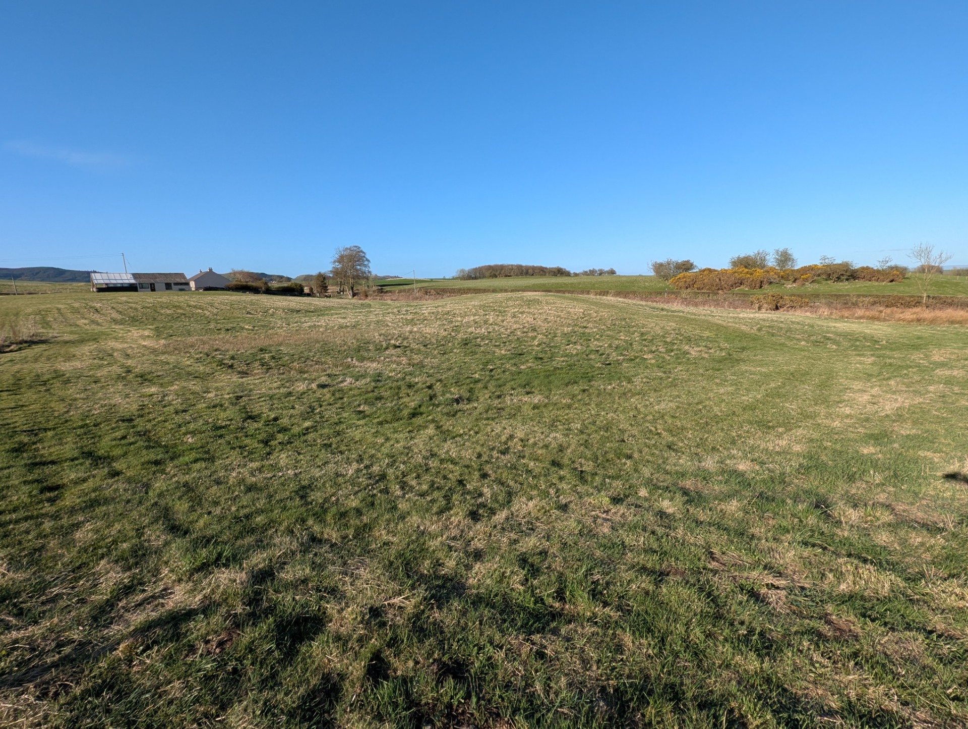 View of the camping field with Glengap Forest in the distance